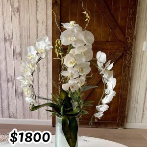 Arreglo floral orquídeas 89